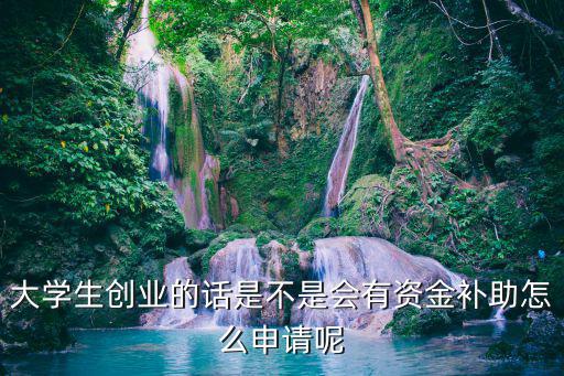 大學(xué)生創(chuàng)業(yè)的話(huà)是不是會(huì)有資金補(bǔ)助怎么申請(qǐng)呢