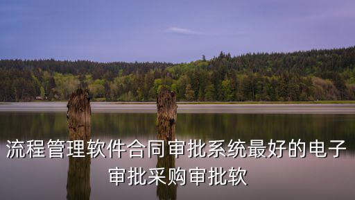 流程管理軟件合同審批系統(tǒng)最好的電子審批采購(gòu)審批軟