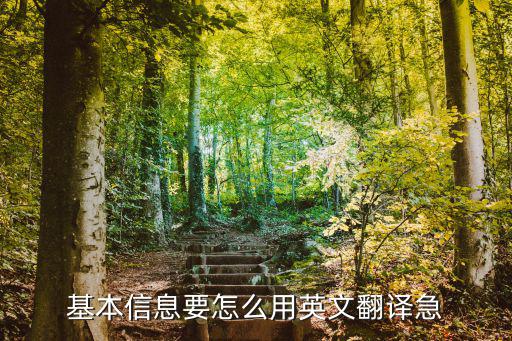 基本信息 翻譯，駕駛證基本信息翻譯