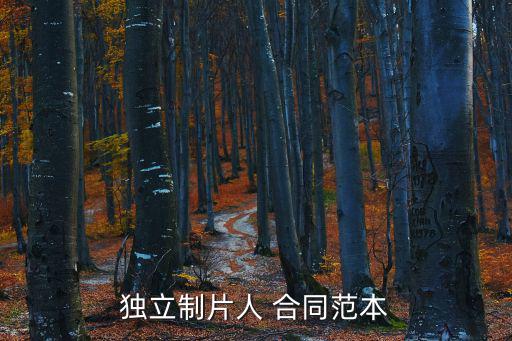 獨(dú)立制片人 合同范本