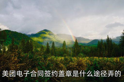 電子合同印章怎么蓋上去的，電子版合同怎么蓋章