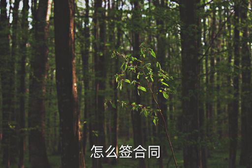 怎么簽合同