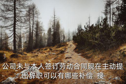 沒簽勞動合同主動離職怎么賠償，未簽勞動合同員工自己辭職的怎么賠償