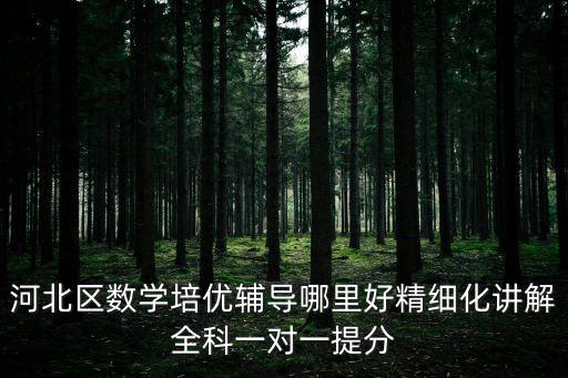 河北區(qū)數(shù)學(xué)培優(yōu)輔導(dǎo)哪里好精細(xì)化講解全科一對一提分