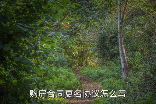購(gòu)房合同更名協(xié)議怎么寫