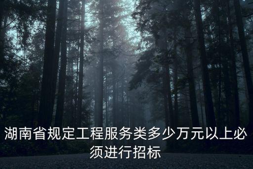 湖南省規(guī)定工程服務(wù)類多少萬元以上必須進(jìn)行招標(biāo)
