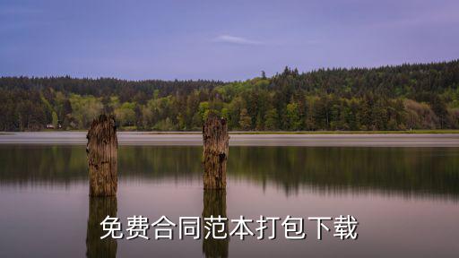 免費合同范本打包下載