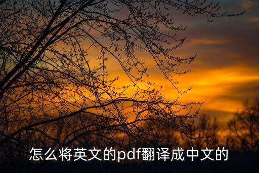 怎么將英文的pdf翻譯成中文的