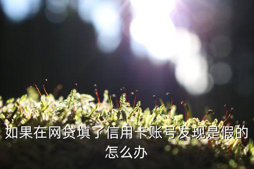 以網(wǎng)貸填錯(cuò)卡號(hào)詐騙怎么處理，如果在網(wǎng)貸填了信用卡賬號(hào)發(fā)現(xiàn)是假的怎么辦