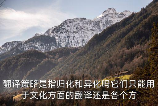 翻譯策略是指歸化和異化嗎它們只能用于文化方面的翻譯還是各個方