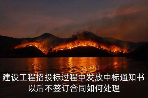 中標(biāo)后不履行合同的處理，建設(shè)工程招投標(biāo)過程中發(fā)放中標(biāo)通知書以后不簽訂合同如何處理