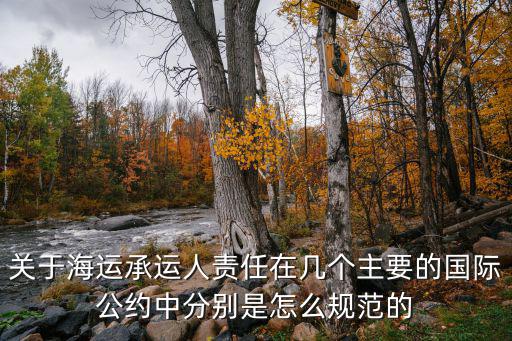 關(guān)于海運承運人責(zé)任在幾個主要的國際公約中分別是怎么規(guī)范的