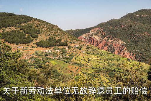 勞動(dòng)法無(wú)緣無(wú)故辭退員工，老板無(wú)故辭退員工勞動(dòng)者權(quán)益保護(hù)法