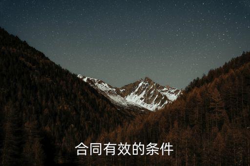 合同有效的條件
