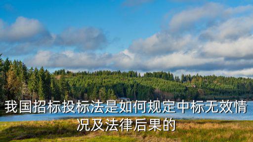 我國(guó)招標(biāo)投標(biāo)法是如何規(guī)定中標(biāo)無(wú)效情況及法律后果的