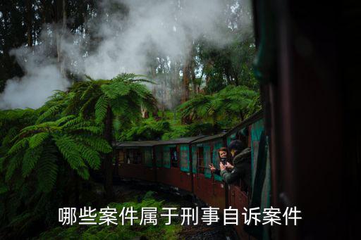 什么案件屬于刑事案件，什么叫刑事案件