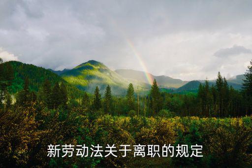 新勞動(dòng)法關(guān)于離職的規(guī)定