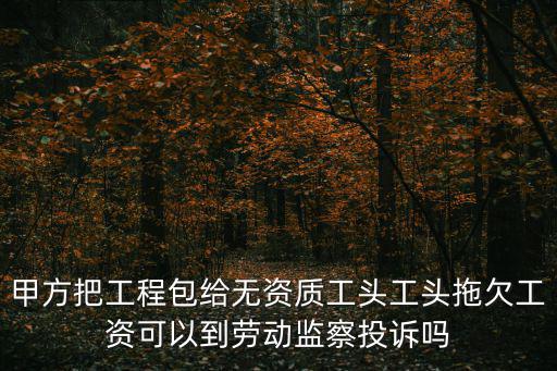 小包工頭欠薪找誰(shuí)起訴，甲方把工程包給無(wú)資質(zhì)工頭工頭拖欠工資可以到勞動(dòng)監(jiān)察投訴嗎