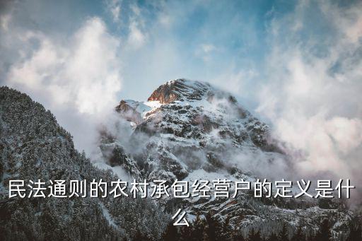 法律對(duì)承包經(jīng)營(yíng)的規(guī)定，民法通則的農(nóng)村承包經(jīng)營(yíng)戶的定義是什么