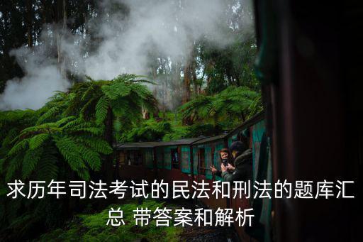 民法典考試題及答案，求歷年司法考試的民法和刑法的題庫匯總 帶答案和解析