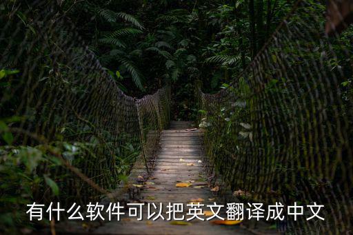 有什么軟件可以把英文翻譯成中文