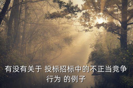 有沒有關于 投標招標中的不正當競爭行為 的例子