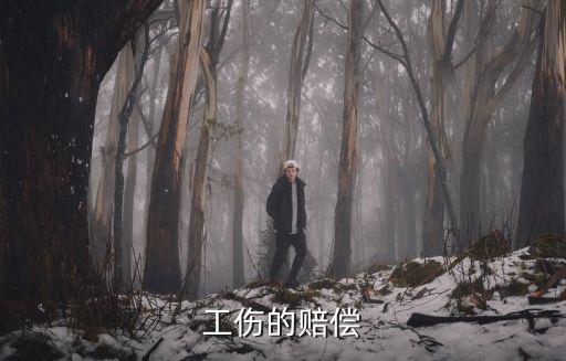 工傷的賠償