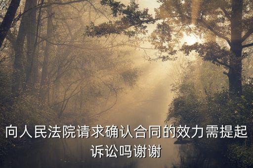 向人民法院請(qǐng)求確認(rèn)合同的效力需提起訴訟嗎謝謝