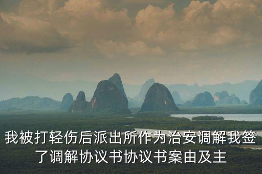 履行調解協(xié)議案由，離婚案件中達成調解協(xié)議都有哪些內容