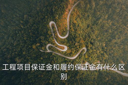 工程項(xiàng)目保證金和履約保證金有什么區(qū)別