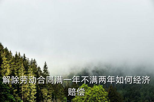 解除勞動(dòng)合同滿一年不滿兩年如何經(jīng)濟(jì)賠償