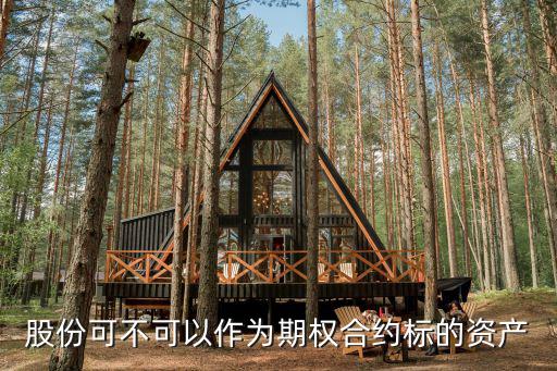 合同的標(biāo)的資產(chǎn)，什么叫標(biāo)的資產(chǎn)