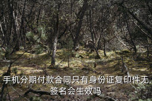 手機(jī)分期付款合同只有身份證復(fù)印件無簽名會生效嗎