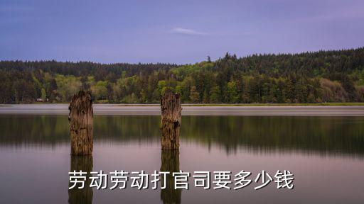 勞動(dòng)糾紛打官司要多少錢，勞動(dòng)爭(zhēng)議法院訴訟費(fèi)一般需要多少
