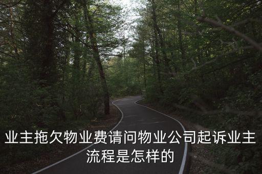 業(yè)主拖欠物業(yè)費請問物業(yè)公司起訴業(yè)主流程是怎樣的