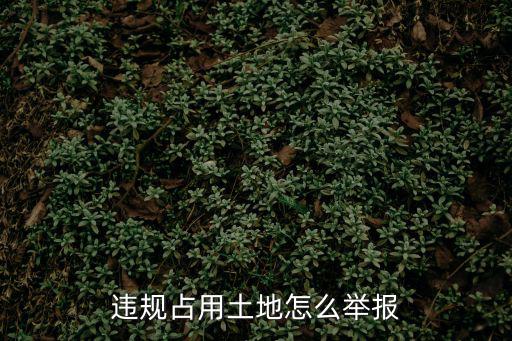 土地被強行占用怎么舉報，土地被占用投訴到哪里