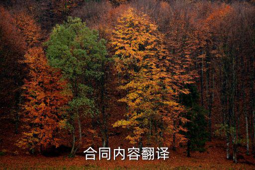 合同內(nèi)容翻譯