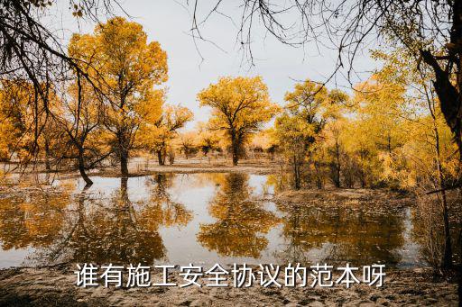 誰有施工安全協(xié)議的范本呀