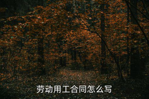 勞動用工合同怎么寫