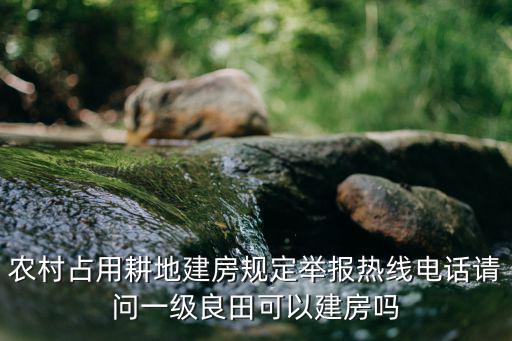 農(nóng)村占用耕地建房規(guī)定舉報熱線電話請問一級良田可以建房嗎