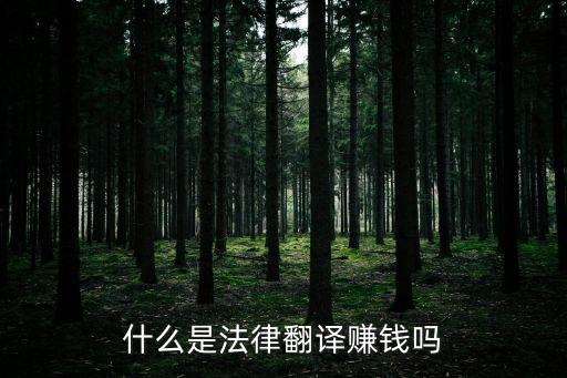 法律翻譯與一般翻譯的區(qū)別與聯(lián)系，什么是法律翻譯賺錢嗎