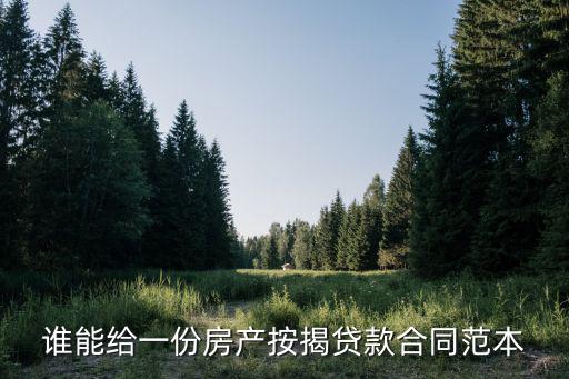 誰能給一份房產(chǎn)按揭貸款合同范本
