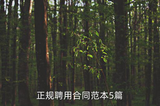 正規(guī)聘用合同范本5篇