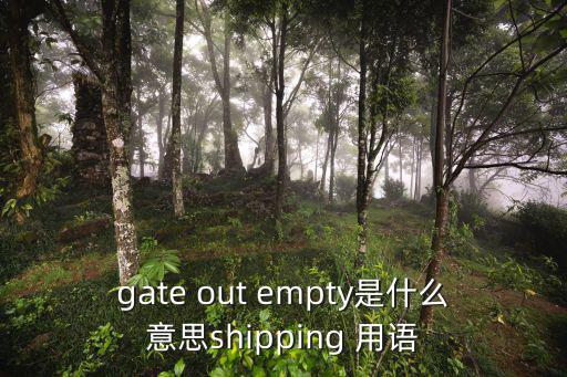 gate out empty是什么意思shipping 用語(yǔ)