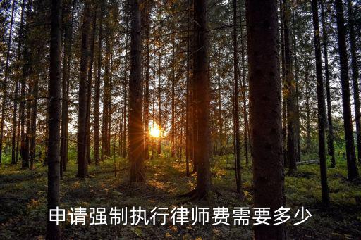 申請強制執(zhí)行律師費需要多少