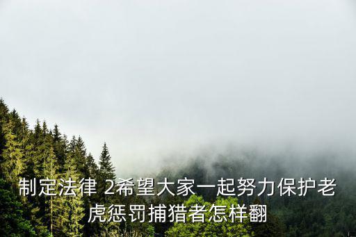 制定法律 英語，制定法律如何翻譯成英文