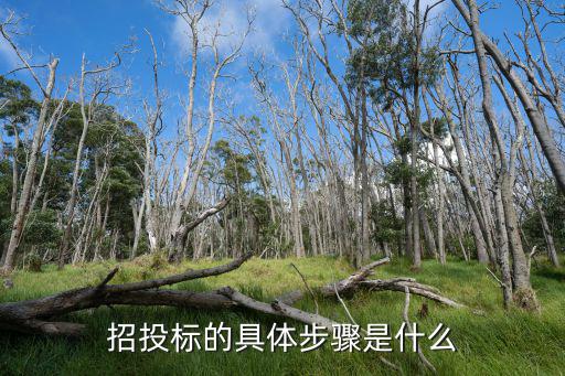 招投標(biāo)詳細(xì)流程，招投標(biāo)的流程
