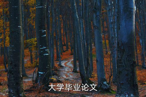 大學(xué)畢業(yè)論文