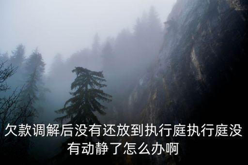 欠款調(diào)解后沒有還放到執(zhí)行庭執(zhí)行庭沒有動(dòng)靜了怎么辦啊