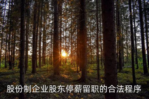 股份制企業(yè)股東停薪留職的合法程序